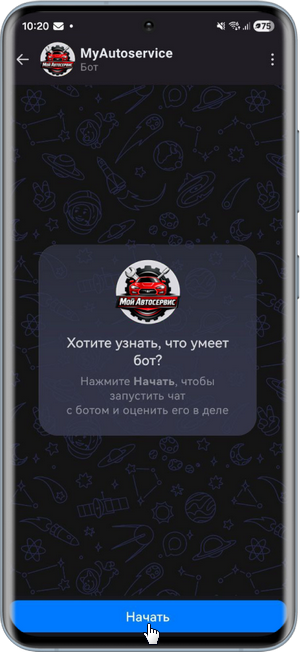 Max - Запуск бота